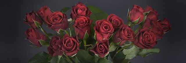 roses-1473683_640