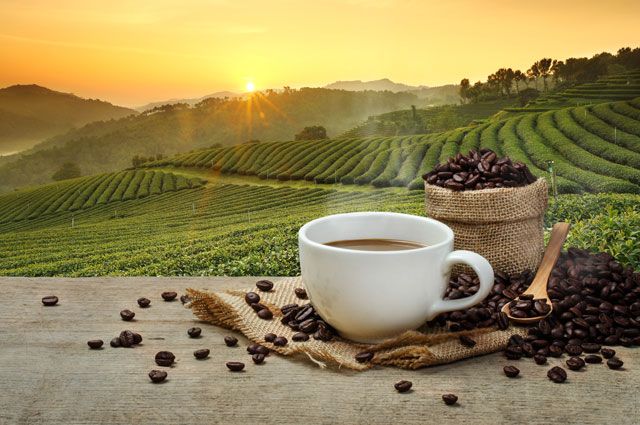 14073928c8c7071a4b9a3ffd35ee13f9