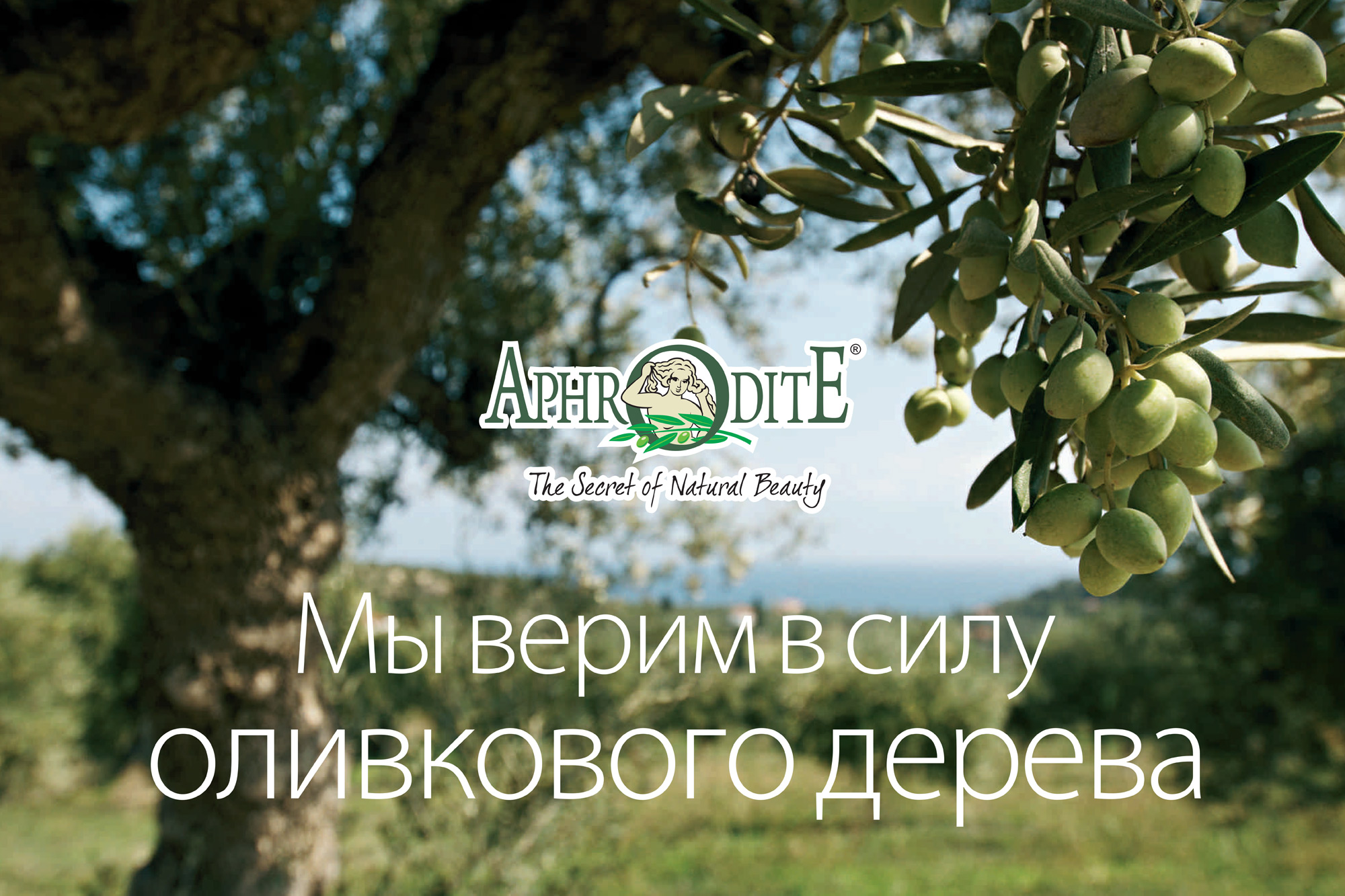 aphrodite_tree
