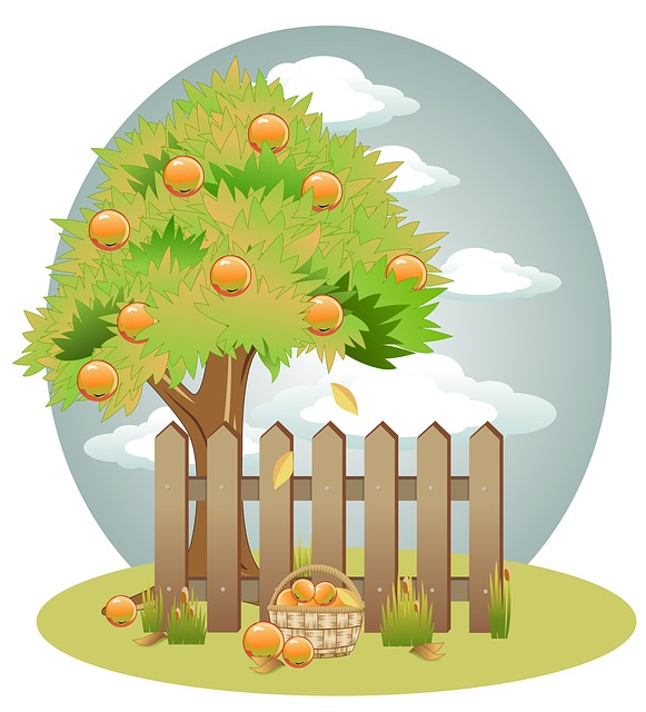 background-163532_640