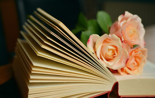 book-1769228_640