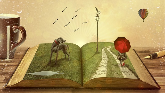 як вибрати книгу