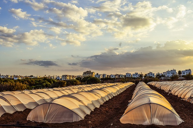 greenhouse-2845852_640