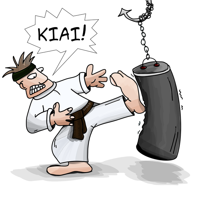kiai-2334268_640