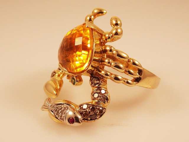 ring-653434_640