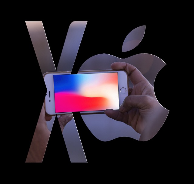 iPhone X