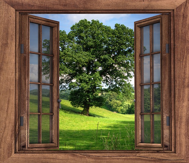 window-2994497_640