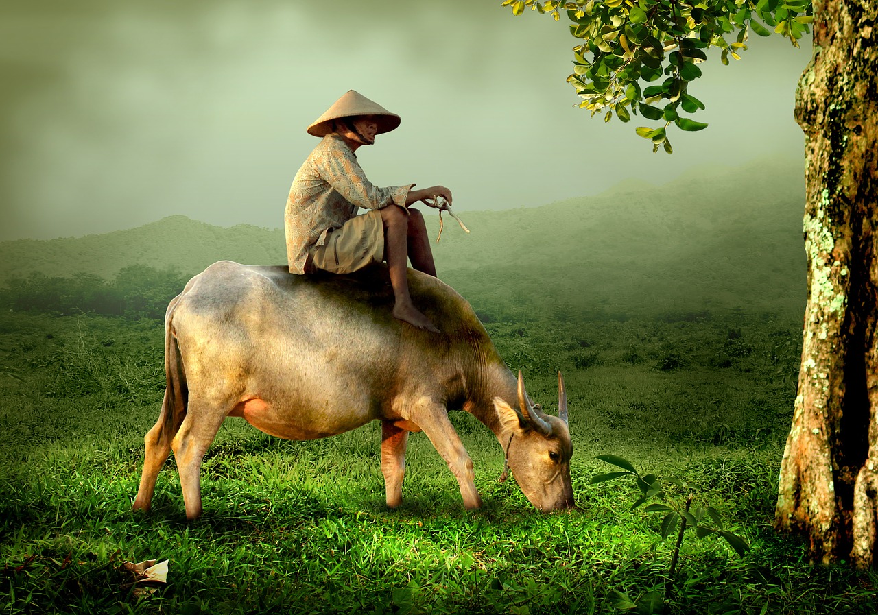 grandpa-519246_1280