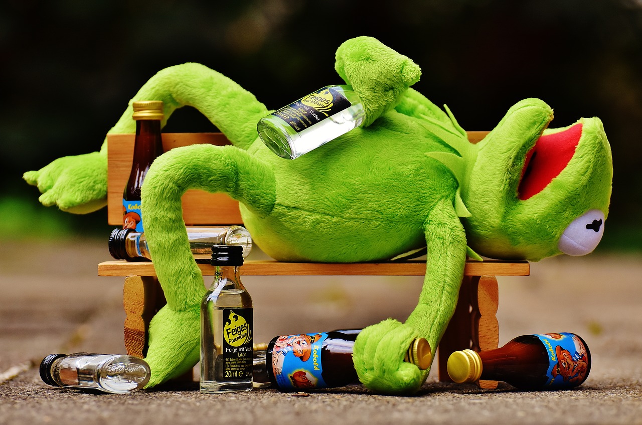 kermit-1651325_1280