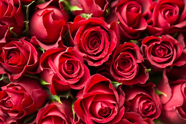 anniversary-1867767_640