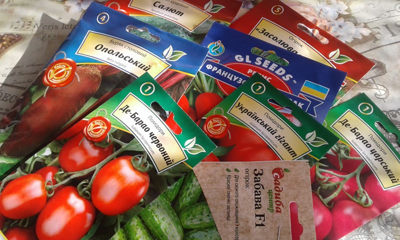 51910904_384308002366436_6373843591680229376_n