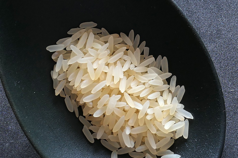 rice-2294365_960_720