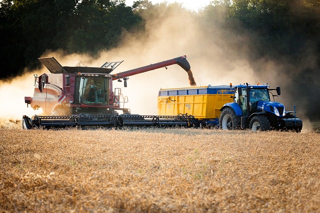 harvest-2526322_640