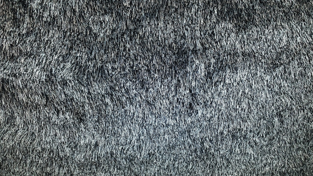 carpet-616362_1280