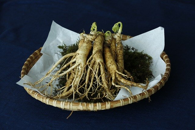 ginseng-3404958_640