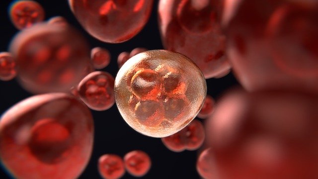 Использование химиотерапии, таргетной терапии и иммунотерапии для лечения онкологических заболеваний