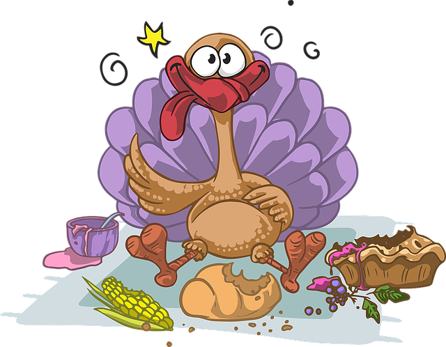 turkey-1456057_640
