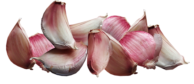 garlic-3791503_640