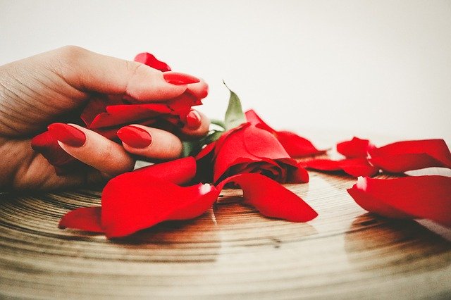 red-967997_640