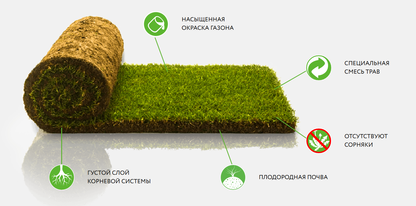 Полезные данные о рулонном газоне