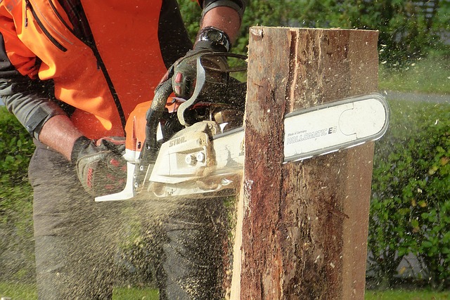 Как купить оригинальную бензопилу STIHL и обезопасить себя от приобретения подделки