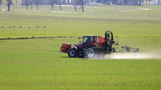 Как правильно защитить культурные растения от сорняков