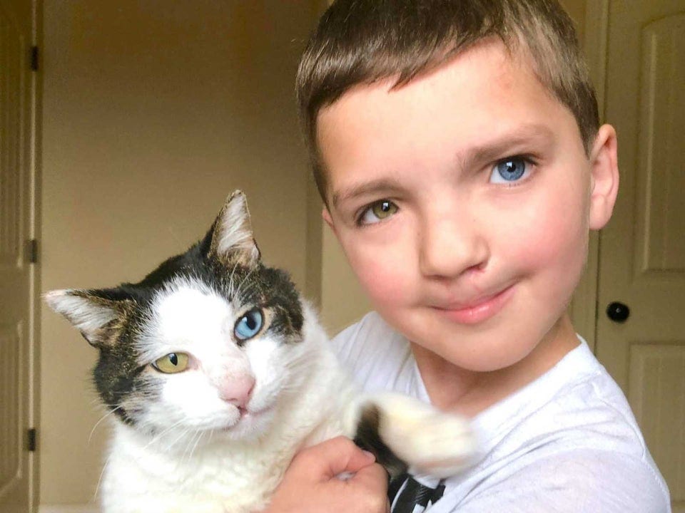 “Ти на мене схожий! Ні, це ти на мене схожий!” — котики та песики так схожі на своїх господарів, що аж страшно