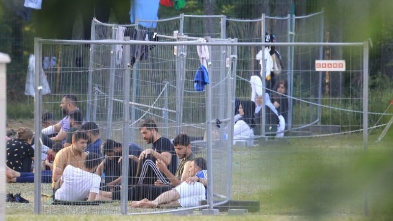 Литва: Белорусские пограничники переправляются через границу с мигрантами