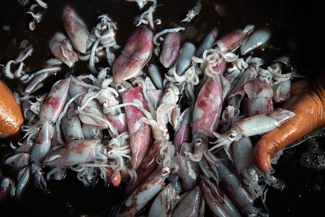 О пользе и вреде морепродуктов