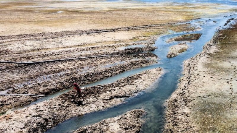 В Едемському саду закінчується вода — сирійські курди звинувачують Туреччину в стримуванні води у своїх греблях