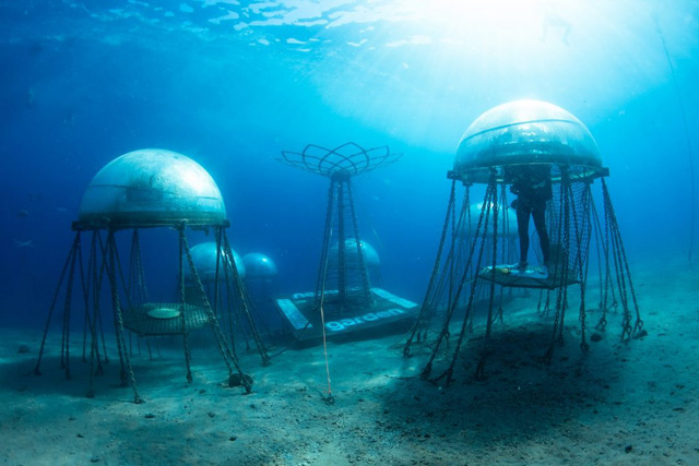 В Италии выращивают под водой овощи, зелень и грибы в рамках проекта Nemo`s Garden. ФОТОрепортаж