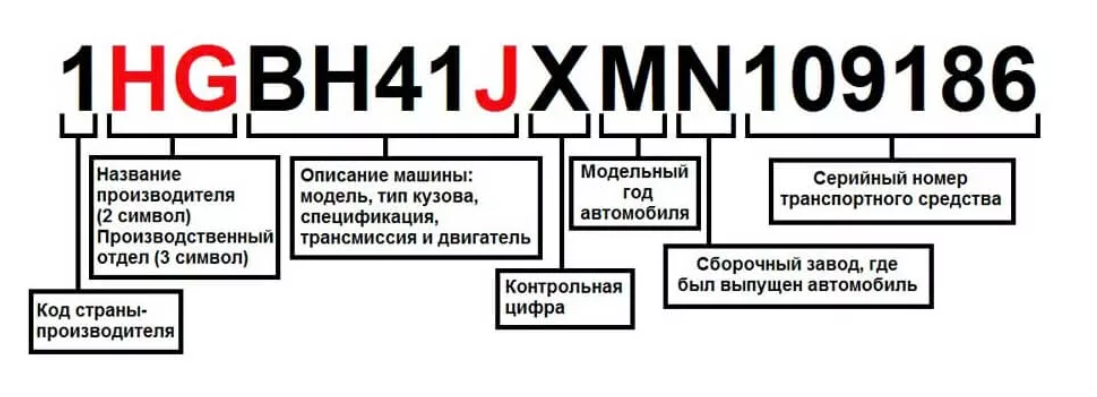 VIN-код автомобиля: что это такое и зачем его проверять