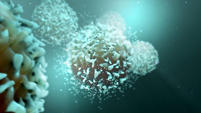 Загадка суперімунітету: клітини пам’яті плюс вакцинація