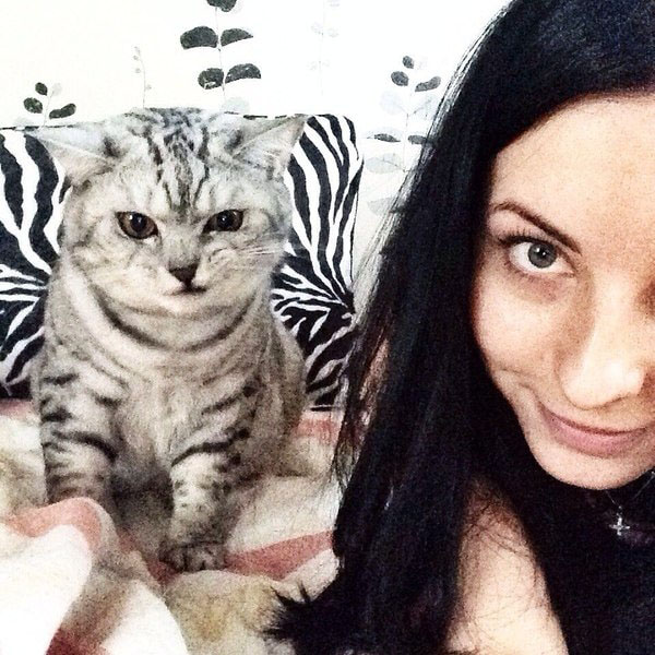 10 котиків, які зовсім забули, що мають бути милими і муркотіти