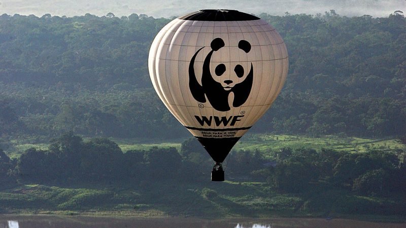 WWF критикует: ЕС — это дорогой супермаркет, а не мировая житница