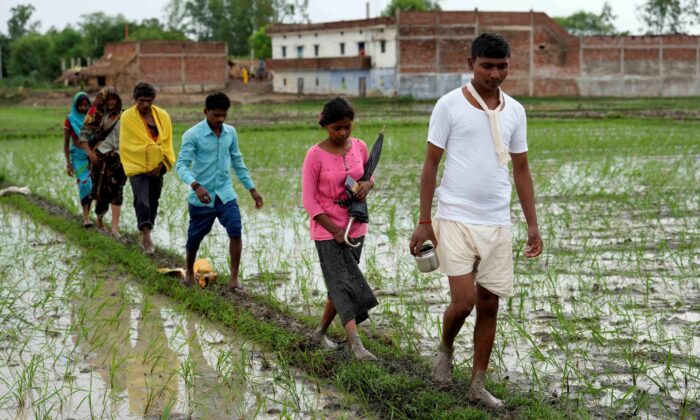 f3855026-45c4-475a-82ed-da4c8d7c8ef5