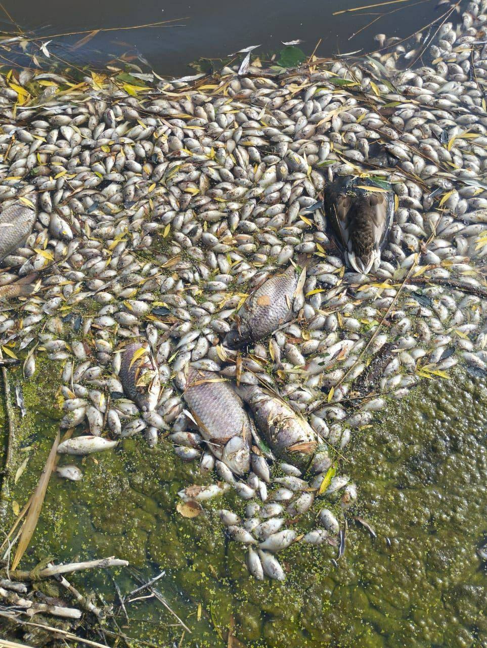 8ee2bcff-a6ef-464f-afb0-18b566a8dc4f