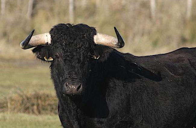 8ee99ce9-bed2-4456-94a9-38ba95784dab