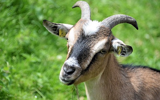 a64e5811-6fd4-4d59-b085-2316869568f8