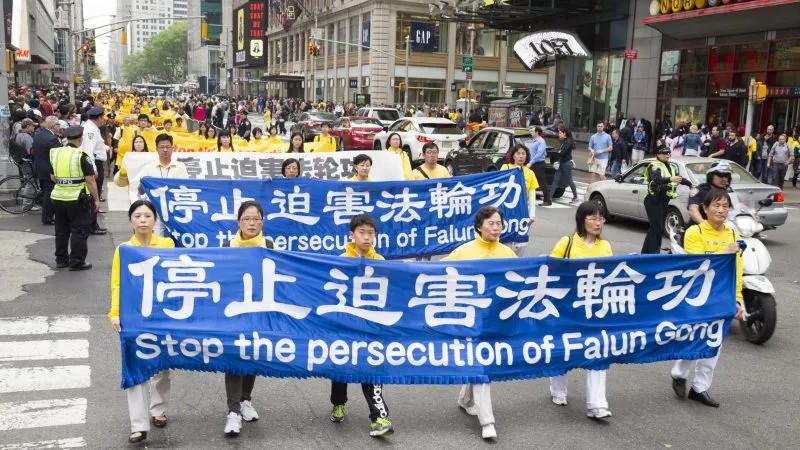 p7466993a776840296-800x450