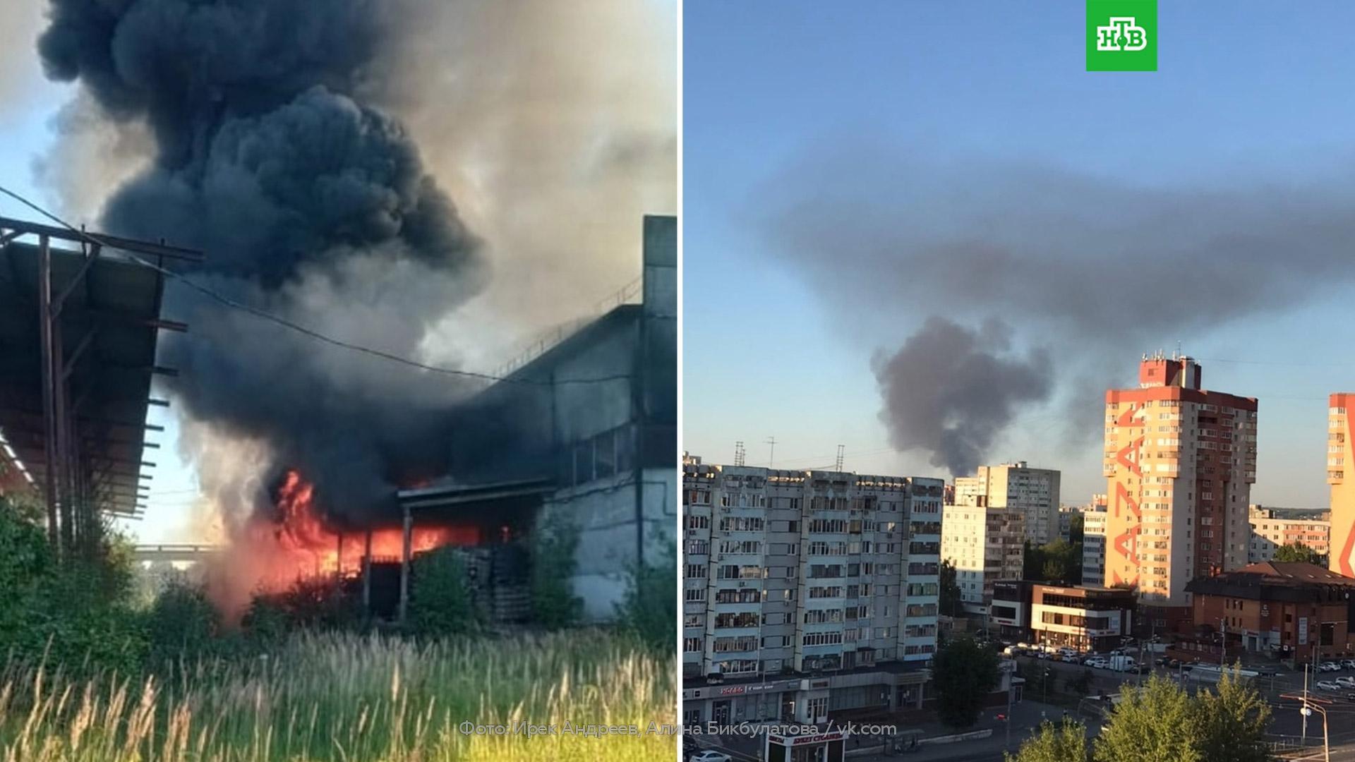 pojar91_vs