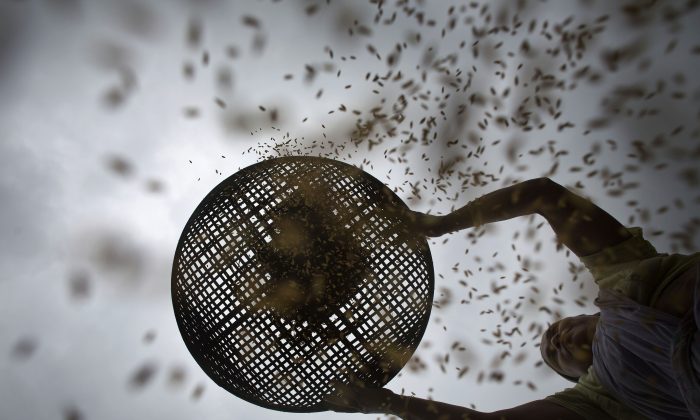 ec365e8e-2742-457f-8514-33e177b8178c