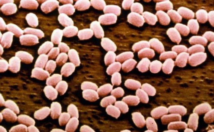 2016_08_02_antras_rsz_crp_crp