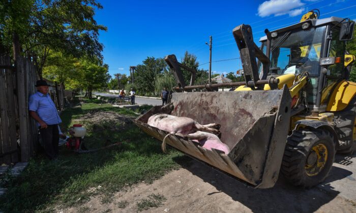 a9300363-679c-478f-8ab1-63ea620d84e7