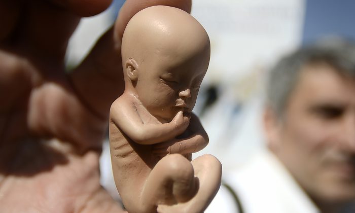 fetus-abortion-700x420