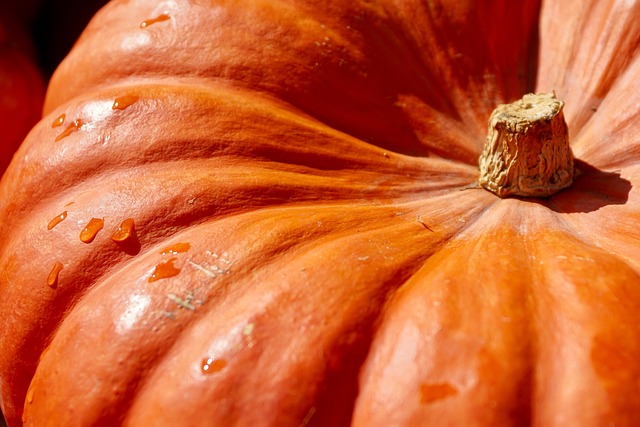 pumpkin-g0b03d73a4_640