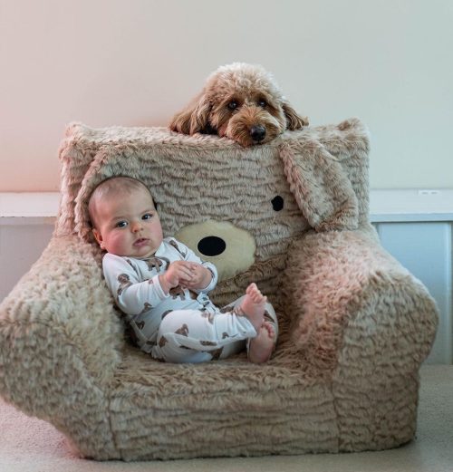 (Courtesy of Bentley The Goldendoodle Puppy)
