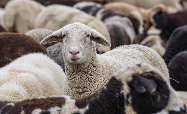 7f76b93b-4b6c-4208-b90e-c05f74e69da1