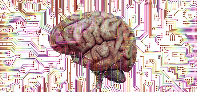 brain-g92c315900_640