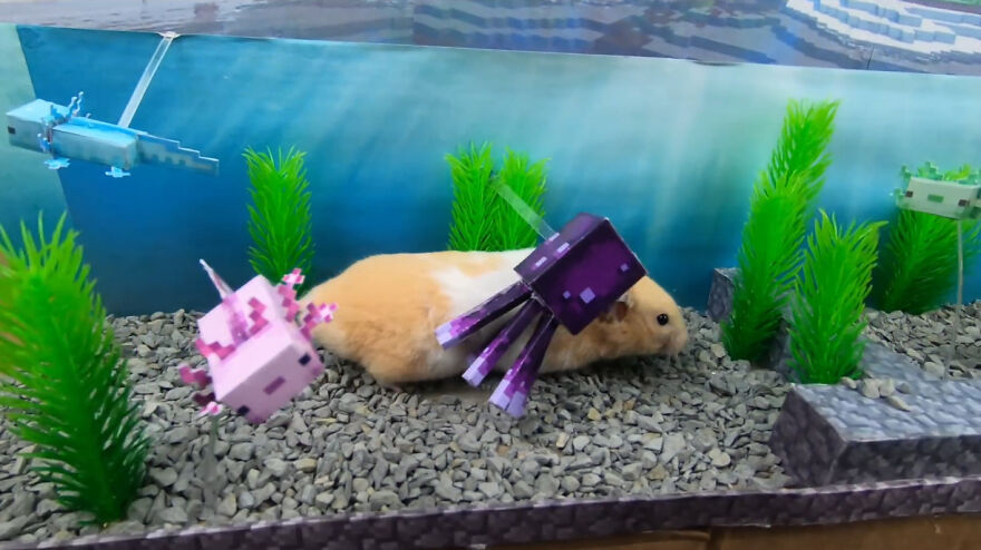 capture6-63594ede80728-png_880